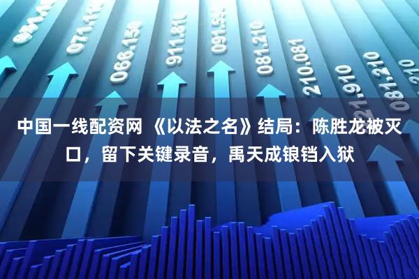 中国一线配资网 《以法之名》结局：陈胜龙被灭口，留下关键录音，禹天成锒铛入狱