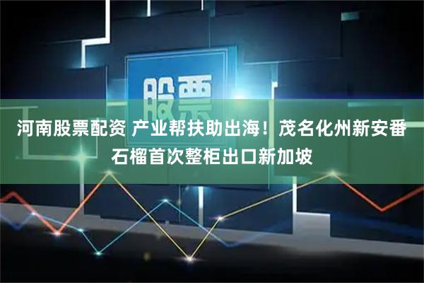 河南股票配资 产业帮扶助出海！茂名化州新安番石榴首次整柜出口新加坡