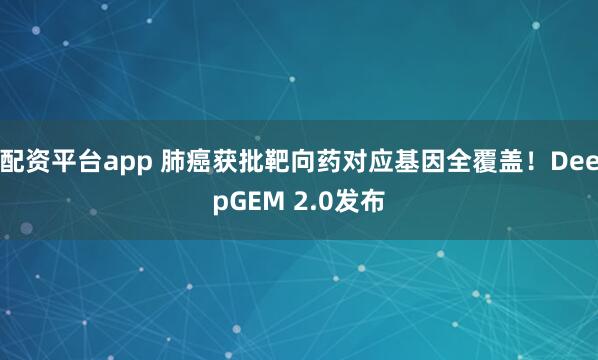 配资平台app 肺癌获批靶向药对应基因全覆盖！DeepGEM 2.0发布